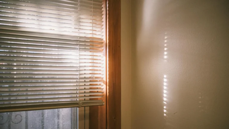 Five Daily Habits That Quietly Change How You Feel