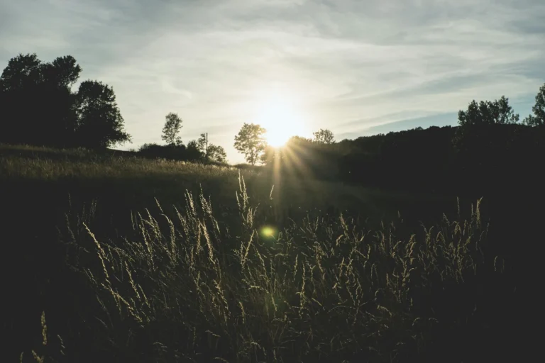 Spending More Time Outdoors: A Practical Guide